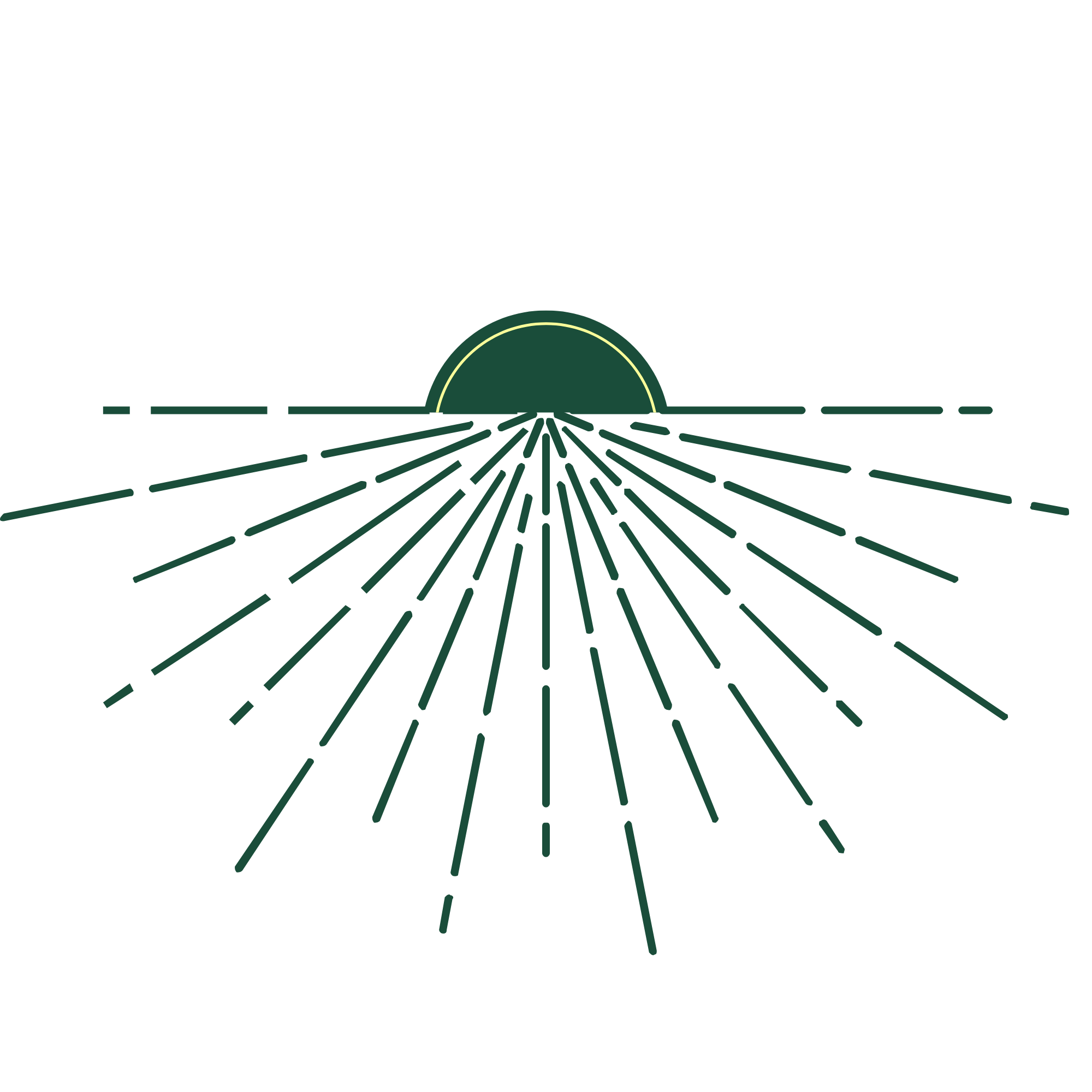 Newsletter Solar Punk - Le Rayon Vert